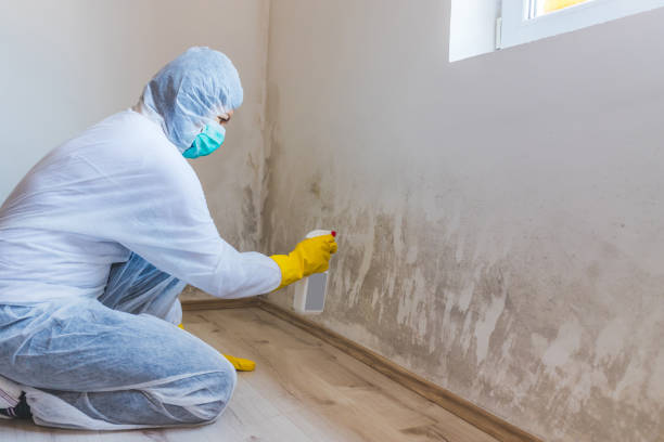 Bathroom Mold Removal assessment in Little Falls bathroom