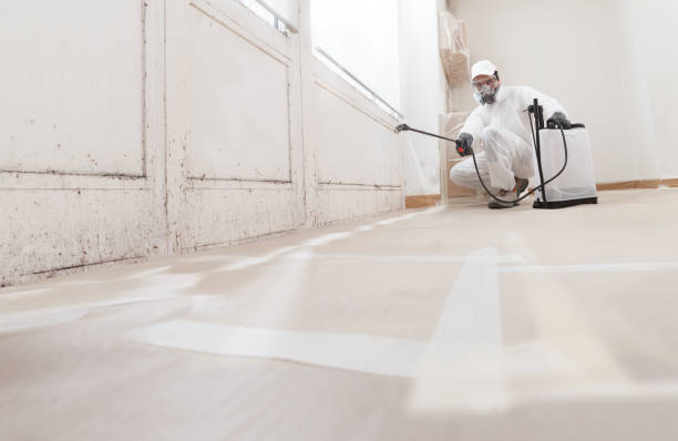 Black mold remediation team in Little Falls